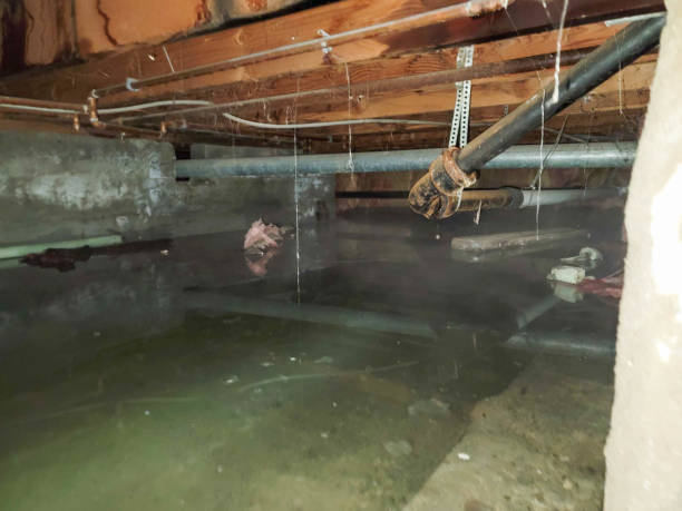 Best Emergency water damage restoration  in Cleveland, OH