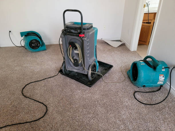  Cleveland, OH Water damage restoration Pros