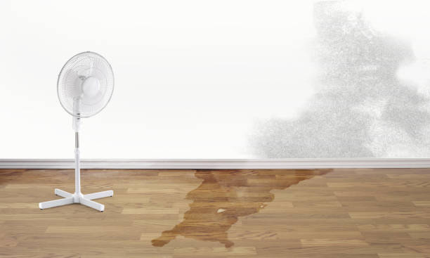 Best Ceiling water damage repair  in Cleveland, OH