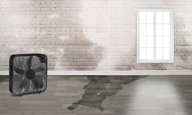 Best Flood restoration services  in Cleveland, OH