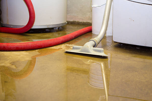 Best 24/7 water damage repair  in Cleveland, OH