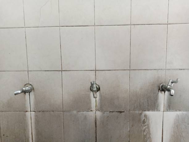  Cleveland, OH Water damage restoration Pros