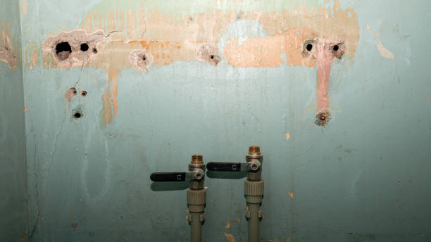 Best 24-hour water damage restoration  in Cleveland, OH