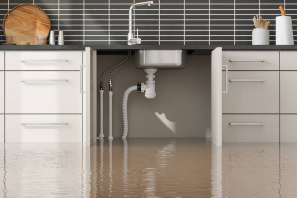 Best Water damage restoration near me  in Cleveland, OH