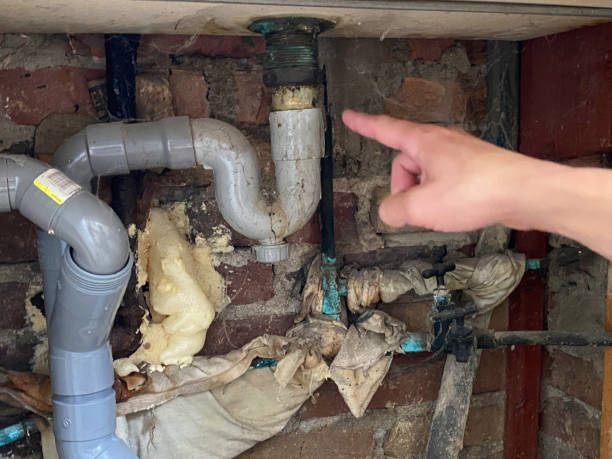Best Sewage cleanup and water damage restoration  in Cleveland, OH