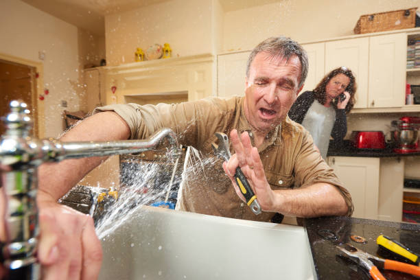 Best Water damage restoration specialists  in Cleveland, OH